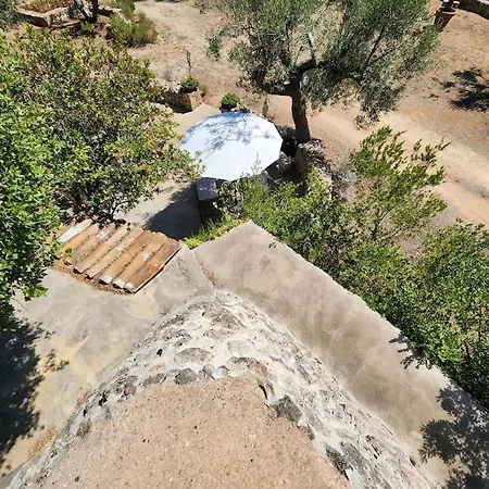 Paradiso Pajare Patù