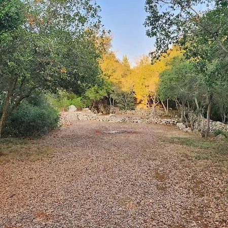 Paradiso Pajare Patù