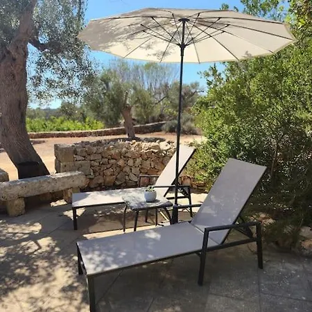 Paradiso Pajare * Patù