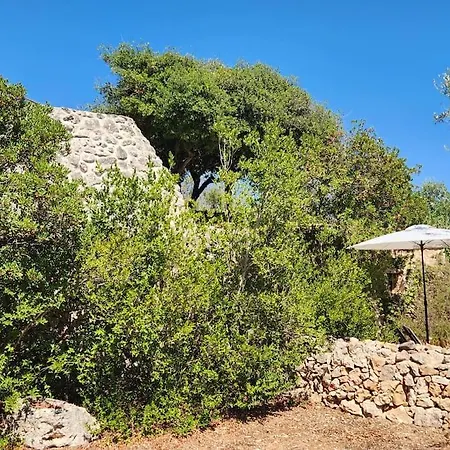 Paradiso Pajare Tatil Evi *