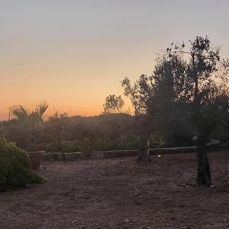 Paradiso Pajare Tatil Evi Patù