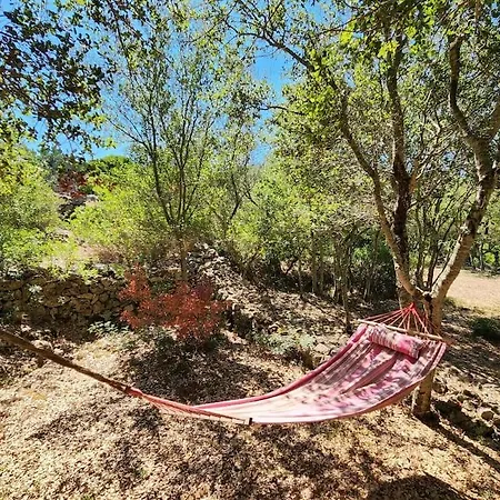 Paradiso Pajare Tatil Evi *