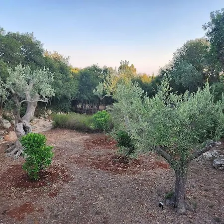 Paradiso Pajare