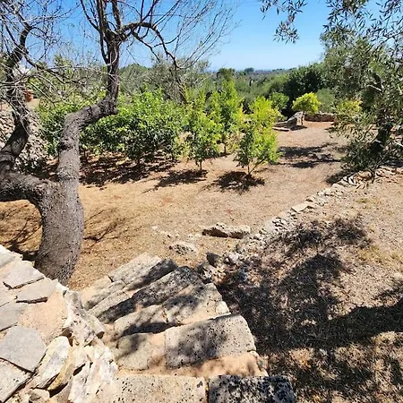 Paradiso Pajare * Patù