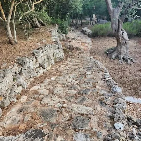 Paradiso Pajare * Patu