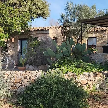 Paradiso Pajare