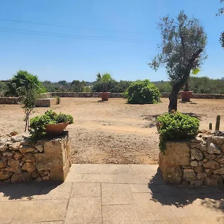 Paradiso Pajare * Patu