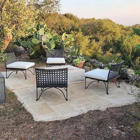 Paradiso Pajare * Patù