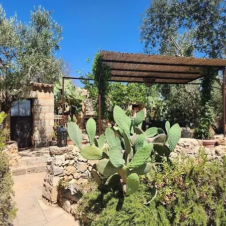 Paradiso Pajare Patù