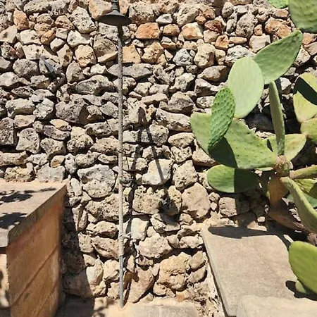 Paradiso Pajare Tatil Evi *