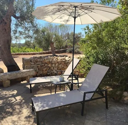 Paradiso Pajare * Patù